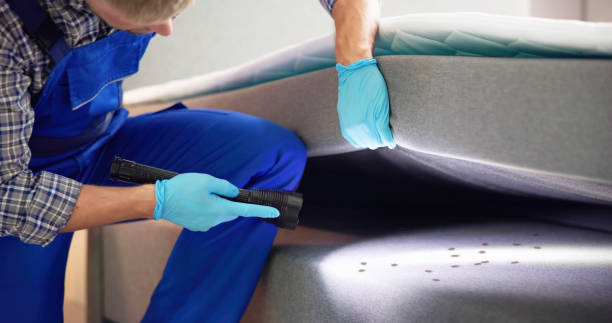 Best Local Pest Control Services  in Hudson, TX