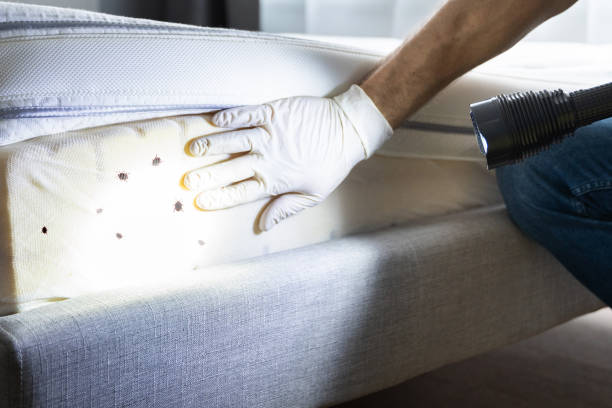 Best Best Pest Control Companies  in Hudson, TX