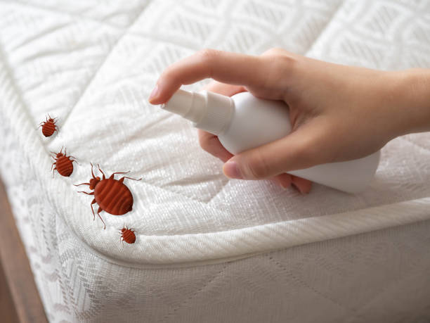 Best Pest Removal Services  in Hudson, TX