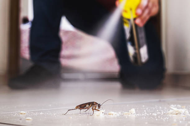 Pest Control for Restaurants in Hudson, TX