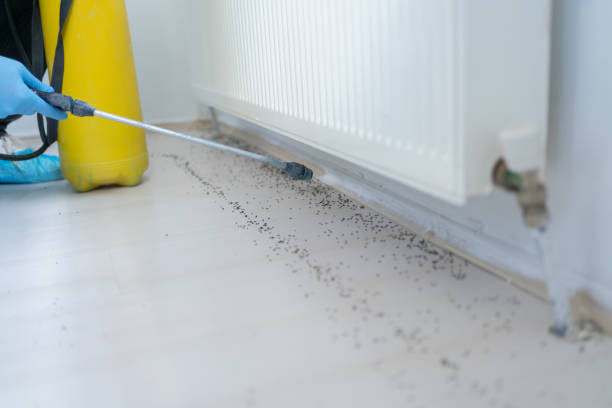 Best Exterminator Services  in Hudson, TX