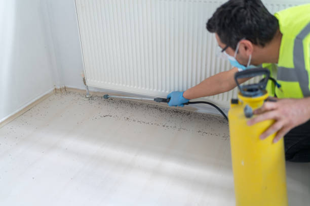 Best Termite Control Services  in Hudson, TX