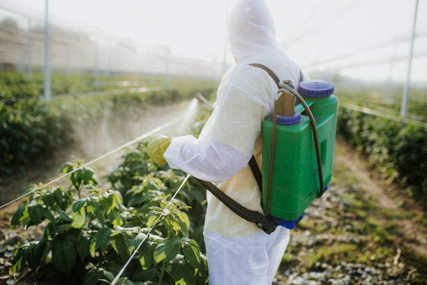 Best Insect Control  in Hudson, TX